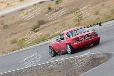 media/Nov-18-2023-Extreme Speed (Sat) [[10c227f63a]]/2-Green/Rear shots/